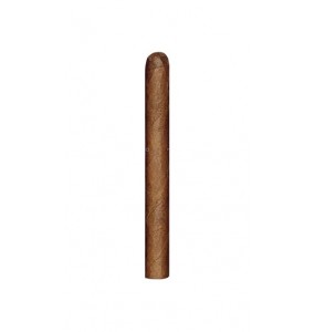 Cusano Bundle Selection Petit Panatela