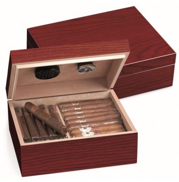 Humidor Egoist Cherry 40