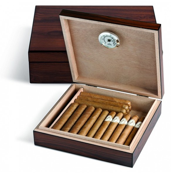 Humidor EGOIST 20 wood