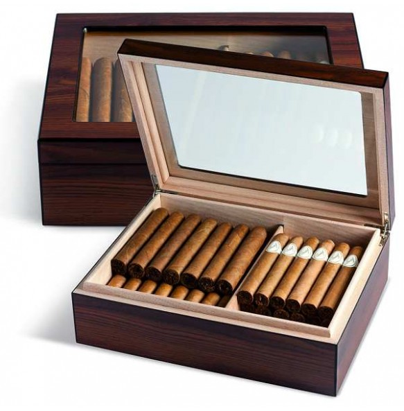 Humidor Egoist 25 glass - wood